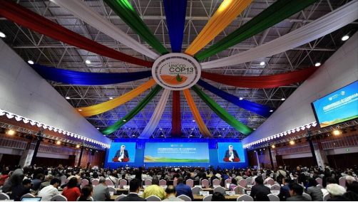 绿色公民行动 助力“2030年全球土地退化零增长目标”